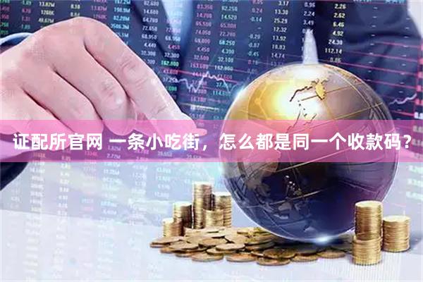 证配所官网 一条小吃街，怎么都是同一个收款码？